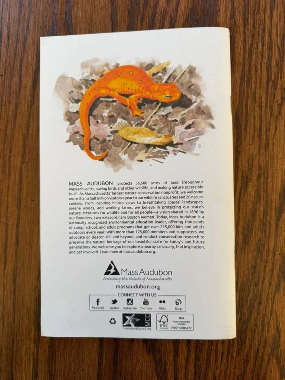 Mass‎ Audubon Field Journal
